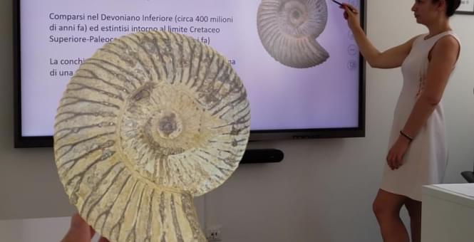 Tecnologie Immersive AR VR